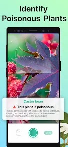 PictureThis Plant Identifier MOD APK 3.64 (Premium Unlocked) Android