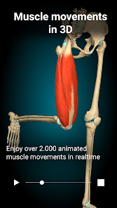 Anatomy Learning 3D Anatomy MOD APK 2.1.386 (Full version Unlocked) Android screenshot