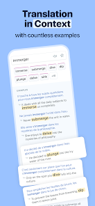 Reverso Translate and Learn MOD APK 11.8.9 (Premium Unlocked) Android screenshot
