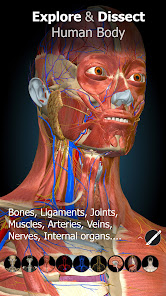 Anatomy Learning 3D Anatomy MOD APK 2.1.386 (Full version Unlocked) Android screenshot